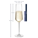 Champagne lasi 280ml Puccini