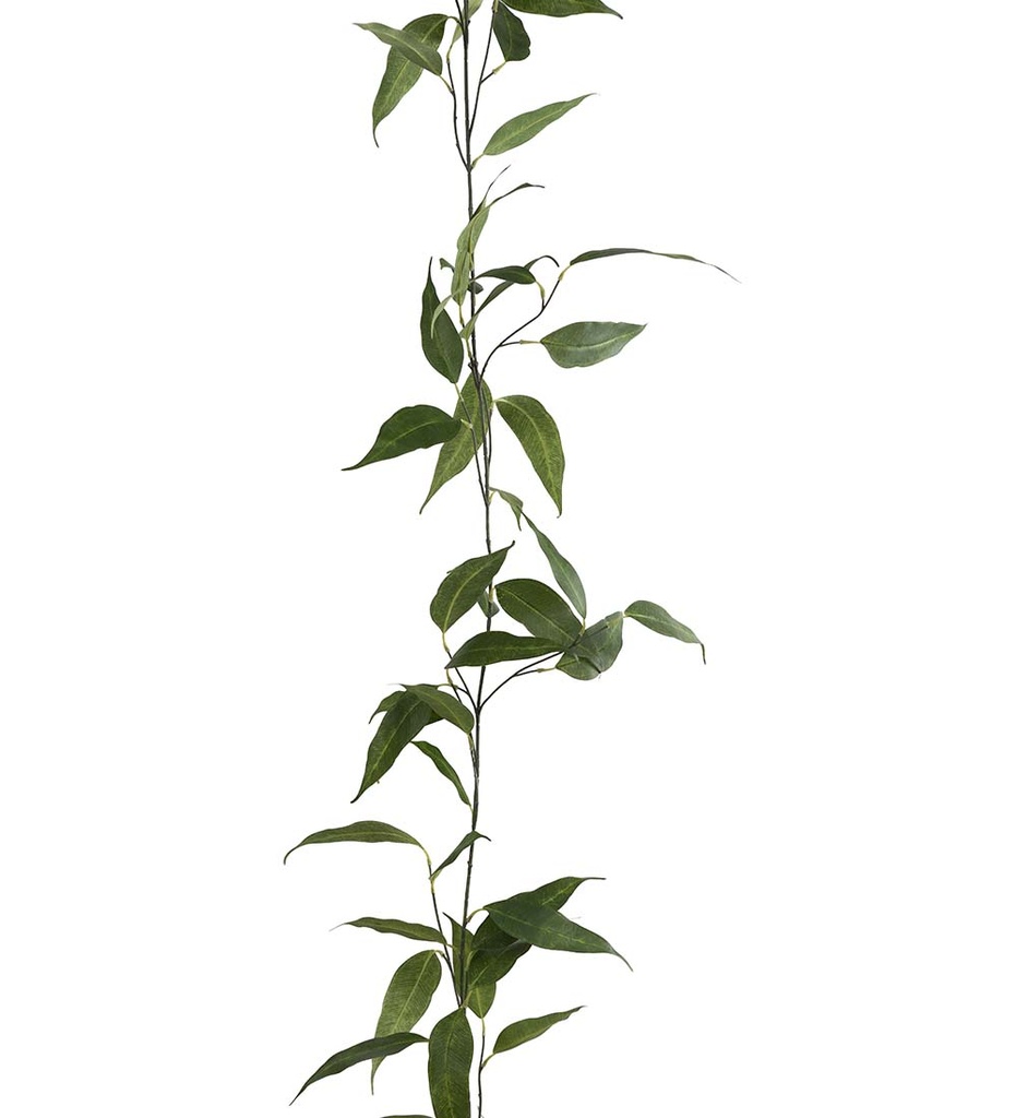 Eucalyptus köynnös 190cm