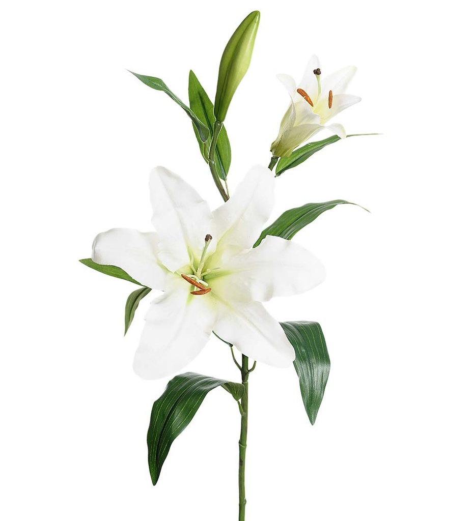 Lilja 70 cm